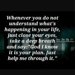 Meet your Posher, Ann